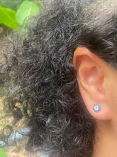 Load image into Gallery viewer, Blue And Silver Earrings
