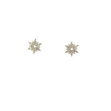 Load image into Gallery viewer, Silver Flower Earrings
